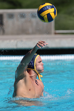 Collegiate Men's Water Polo: California Golden Bears vs Harvard