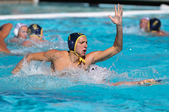 Collegiate Men's Water Polo: California Golden Bears vs Harvard