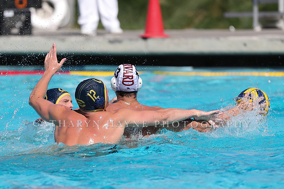Collegiate Men's Water Polo: California Golden Bears vs Harvard