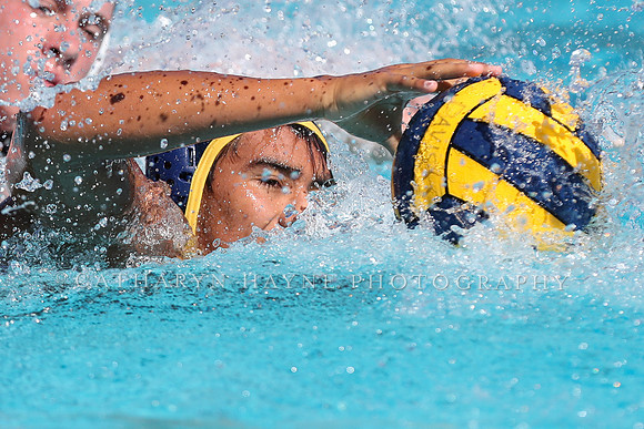 Collegiate Men's Water Polo: California Golden Bears vs Harvard