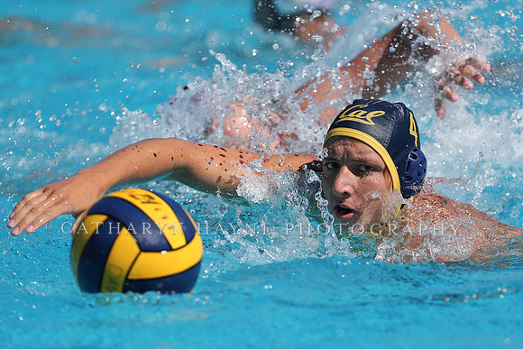 Collegiate Men's Water Polo: California Golden Bears vs Harvard