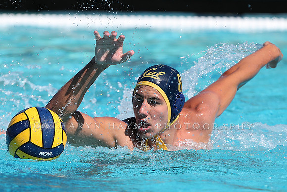 Collegiate Men's Water Polo: California Golden Bears vs Harvard
