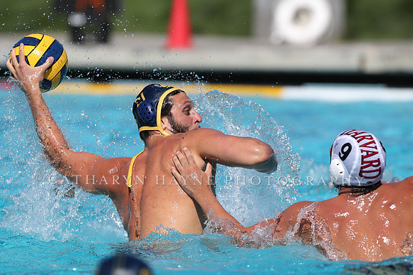 Collegiate Men's Water Polo: California Golden Bears vs Harvard