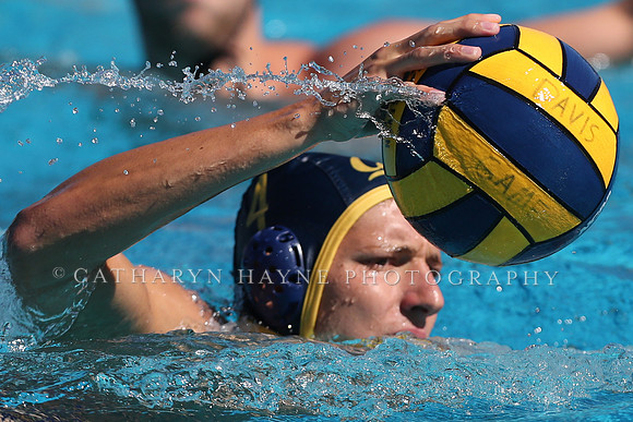Collegiate Men's Water Polo: California Golden Bears vs Harvard