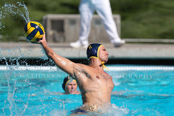 Collegiate Men's Water Polo: California Golden Bears vs Harvard