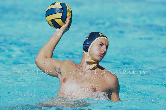 Collegiate Men's Water Polo: California Golden Bears vs Harvard