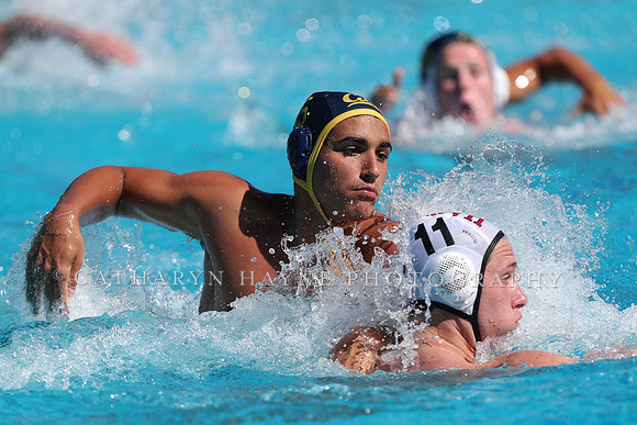Collegiate Men's Water Polo: California Golden Bears vs Harvard