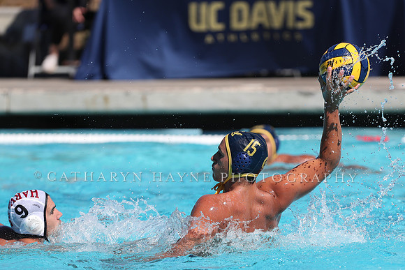 Collegiate Men's Water Polo: California Golden Bears vs Harvard