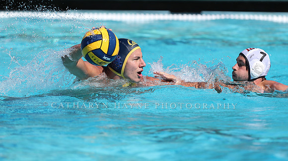 Collegiate Men's Water Polo: California Golden Bears vs Harvard