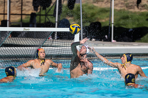 Collegiate Men's Water Polo: California Golden Bears vs Harvard