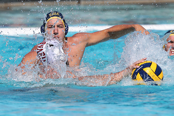 Collegiate Men's Water Polo: California Golden Bears vs Harvard