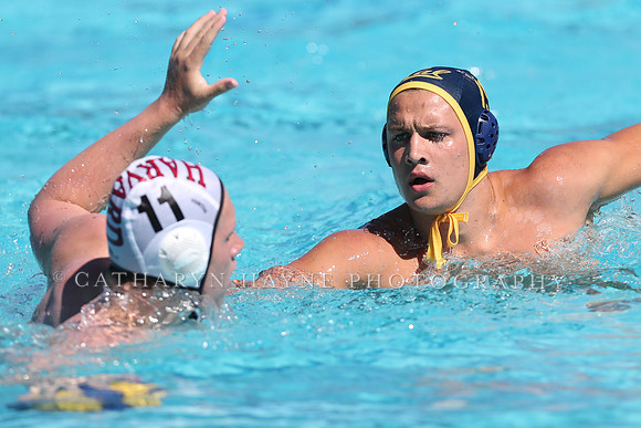 Collegiate Men's Water Polo: California Golden Bears vs Harvard