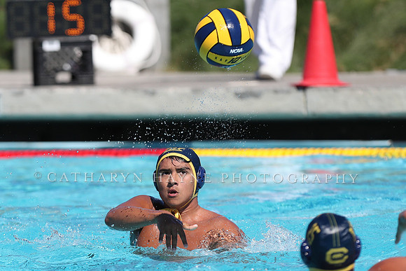 Collegiate Men's Water Polo: California Golden Bears vs Harvard