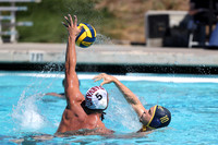Collegiate Men's Water Polo: California Golden Bears vs Harvard