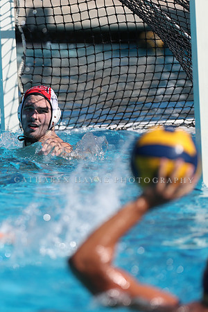 Collegiate Men's Water Polo: California Golden Bears vs Harvard