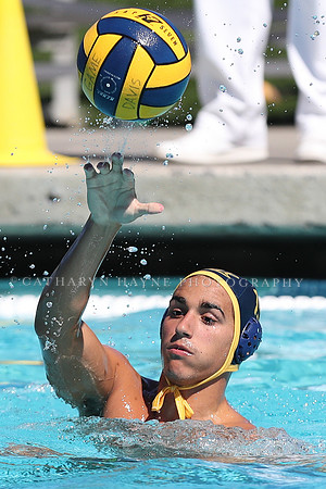 Collegiate Men's Water Polo: California Golden Bears vs Harvard