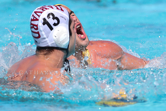 Collegiate Men's Water Polo: California Golden Bears vs Harvard