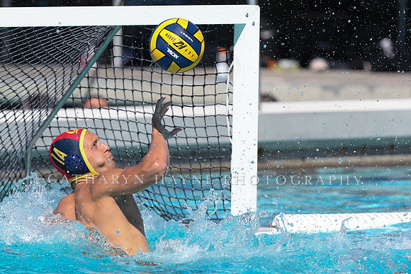 Collegiate Men's Water Polo: California Golden Bears vs Harvard