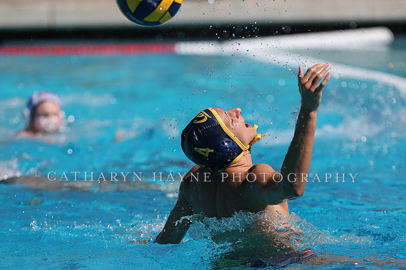 Collegiate Men's Water Polo: California Golden Bears vs Harvard