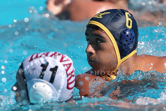 Collegiate Men's Water Polo: California Golden Bears vs Harvard