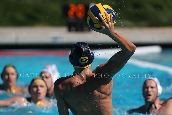 Collegiate Men's Water Polo: California Golden Bears vs Harvard