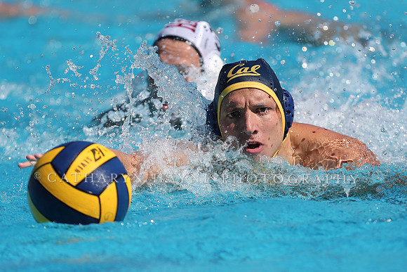 Collegiate Men's Water Polo: California Golden Bears vs Harvard
