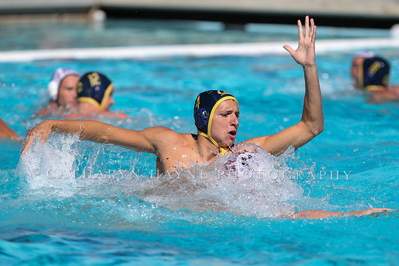 Collegiate Men's Water Polo: California Golden Bears vs Harvard