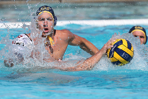 Collegiate Men's Water Polo: California Golden Bears vs Harvard
