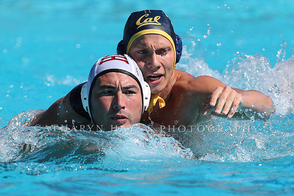 Collegiate Men's Water Polo: California Golden Bears vs Harvard