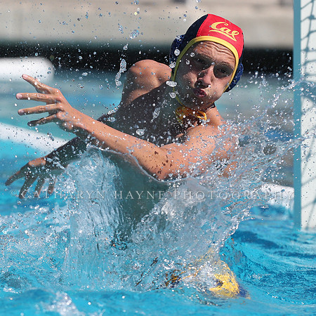 Collegiate Men's Water Polo: California Golden Bears vs Harvard