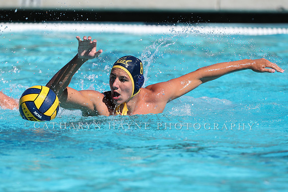 Collegiate Men's Water Polo: California Golden Bears vs Harvard