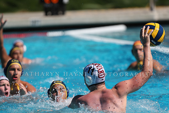 Collegiate Men's Water Polo: California Golden Bears vs Harvard