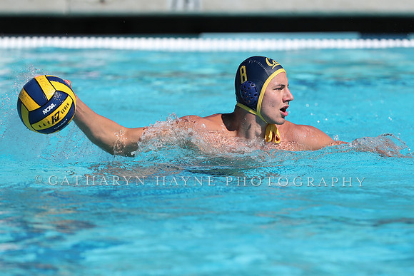 Collegiate Men's Water Polo: California Golden Bears vs Harvard