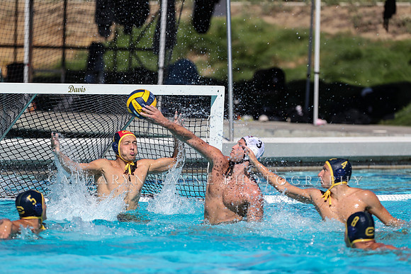 Collegiate Men's Water Polo: California Golden Bears vs Harvard