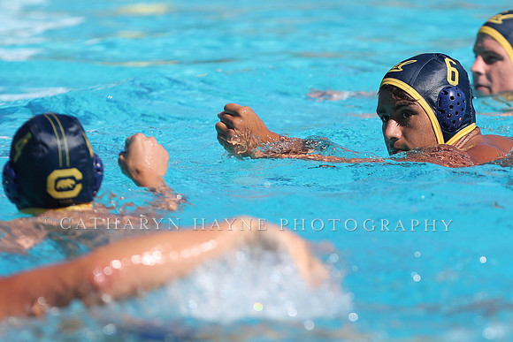 Collegiate Men's Water Polo: California Golden Bears vs Harvard