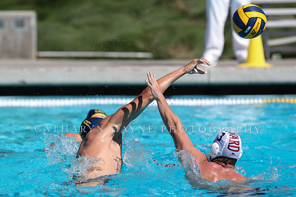 Collegiate Men's Water Polo: California Golden Bears vs Harvard