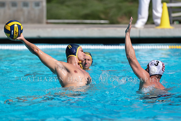 Collegiate Men's Water Polo: California Golden Bears vs Harvard