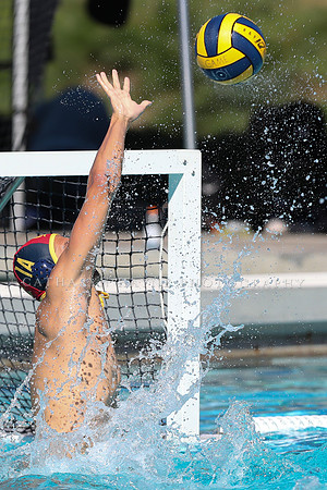 Collegiate Men's Water Polo: California Golden Bears vs Harvard