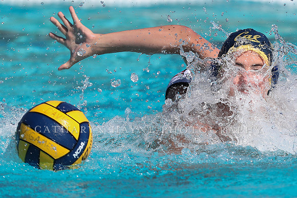 Collegiate Men's Water Polo: California Golden Bears vs Harvard