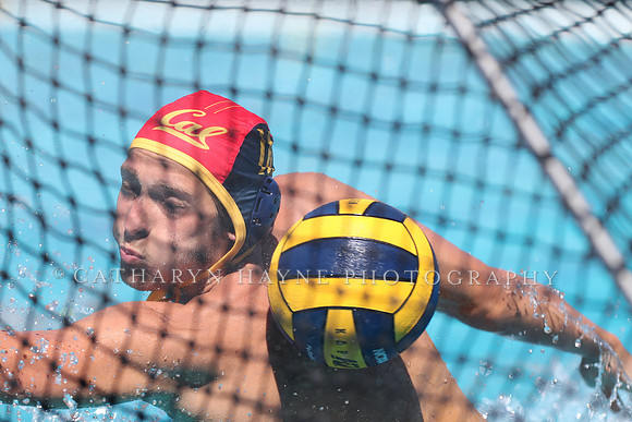 Collegiate Men's Water Polo: California Golden Bears vs Harvard