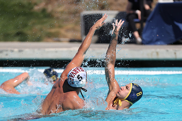 Collegiate Men's Water Polo: California Golden Bears vs Harvard