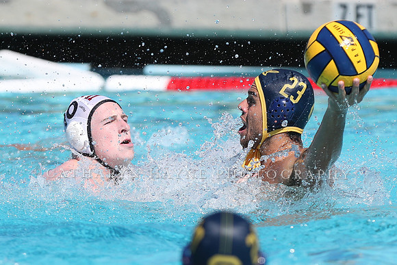 Collegiate Men's Water Polo: California Golden Bears vs Harvard