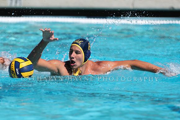 Collegiate Men's Water Polo: California Golden Bears vs Harvard