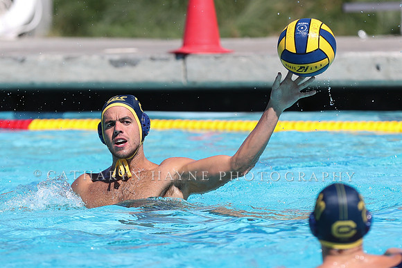 Collegiate Men's Water Polo: California Golden Bears vs Harvard