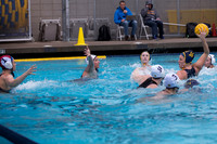 Cal vs NYAC at California Speedo Cup 2