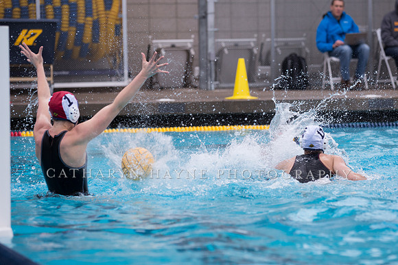 Cal vs NYAC at California Speedo Cup 2