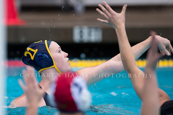 Cal vs NYAC at California Speedo Cup 2