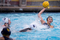 Cal vs NYAC at California Speedo Cup 2