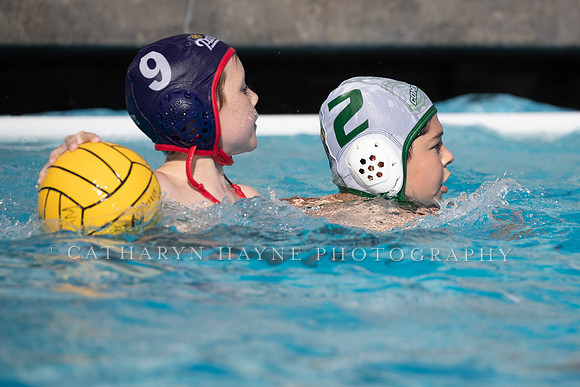 Water Polo: USA Water Polo: Dare to Dream:Patriots vs Commerce