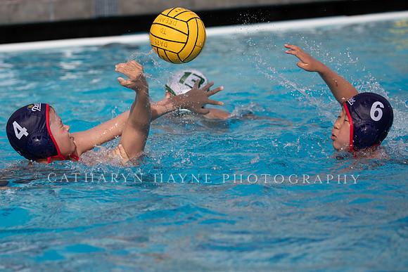 Water Polo: USA Water Polo: Dare to Dream:Patriots vs Commerce